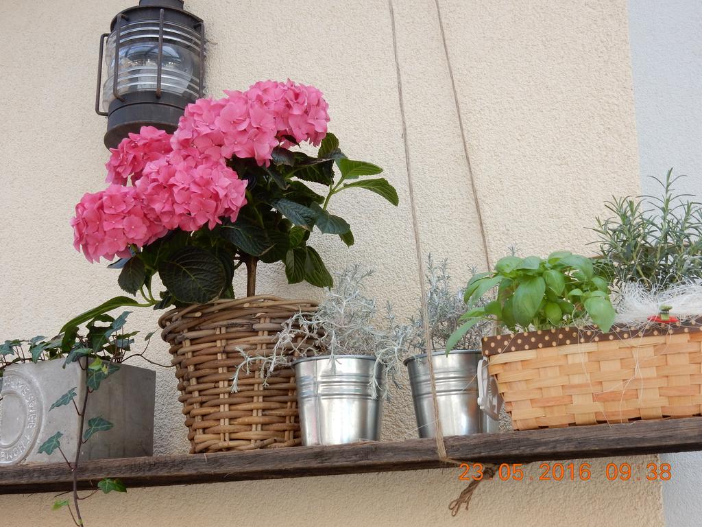Parma Guesthouse & Apartments Maribor Ngoại thất bức ảnh